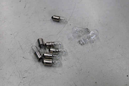 Unbranded MIXED-MINI-BULB-LOT-9/30/2025 Miniature and Specialty Bulbs