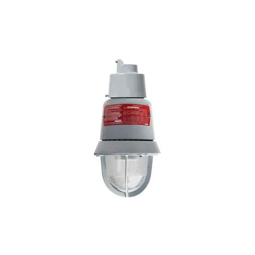Edwards Signaling 116DEXMSTR-FJ Specialty Lighting