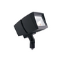 RAB Lighting FFLED52 LED Floodlight Fixture