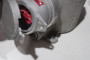 Crouse-Hinds FSQC2320 Plug/Connector/Adapter Accessories