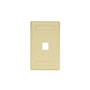 Hubbell Premise Wiring IFP11EI Faceplate