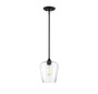 Savoy House 7-4036-1-BK Incandescent Lighting