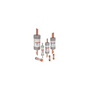 Ferraz Shawmut TR5R Fuses
