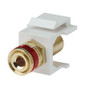 Structured Cable Products 241RD-WT Connectors