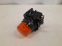 Eaton E34FB197LAP2D Pilot Lights 120V Amber EA NEMA 3/3R/4/4X/12/13