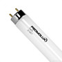 EncapSulite PLX14032/F32T8-MBP Fluorescent Bulbs
