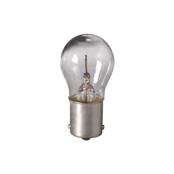 Miniature and Specialty Bulbs