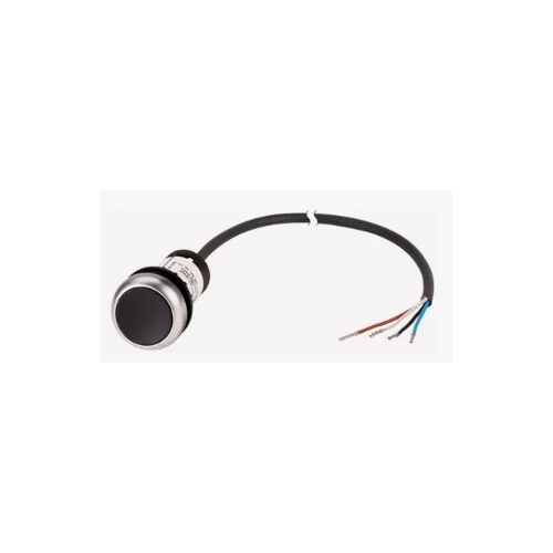 Eaton C22-D-S-K01-P65 Non-Illuminated Pushbutton (Repackaged)