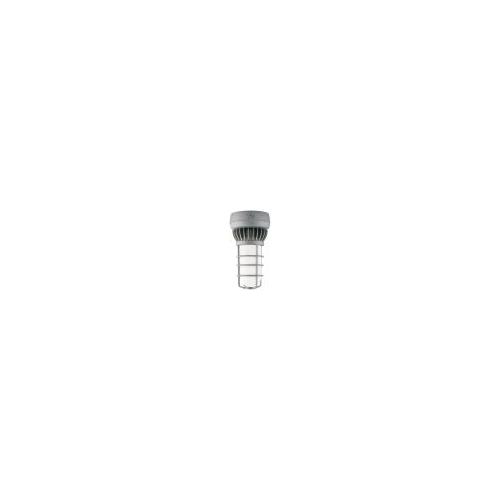 RAB Lighting VXLED26DG LED Vaporproof Light Fixture