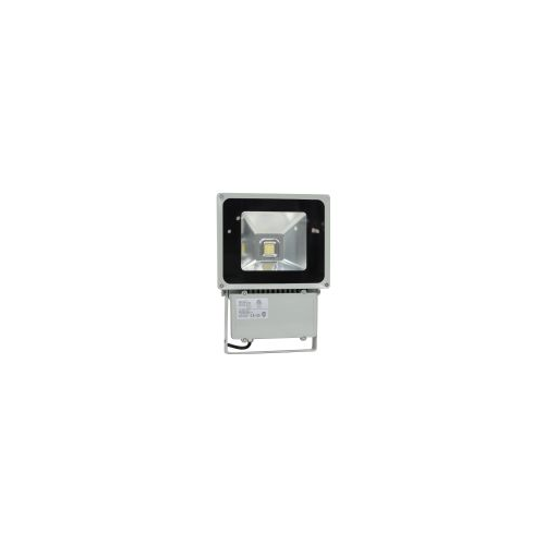 MAXI-SIGNAL FL80-100-277 LED Lighting (Repackaged)