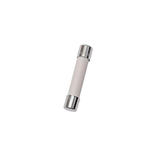 Mersen EP GSD3-15/100 Miniature Fuse