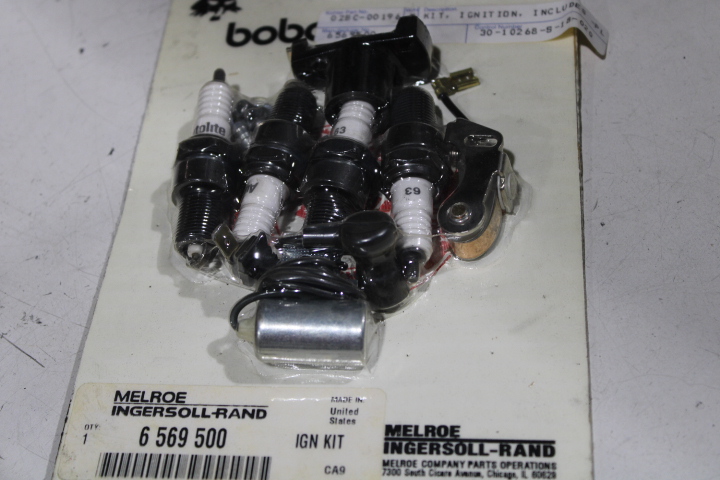 Ingersoll Rand 6569500 Ignition Control Components