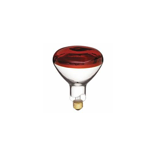 Sylvania 250R40/RED/RP Other Bulbs/Ballasts/Drivers Sylvania 250R40/RED/RP Other Bulbs/Ballasts/Drivers