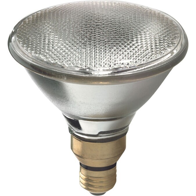HID and Halogen