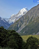 Aoraki Mt Cook From Governers Bush