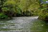 Kaituna River