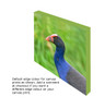 Canvas print showing default edge colour Canvas print showing default edge colour