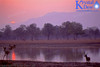 Waterbuck At Sunset