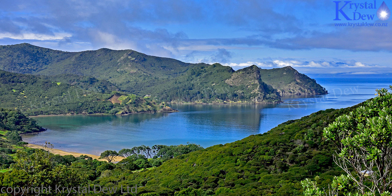 Great Barrier Island, Blind Bay At Dawn