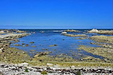 The Kaikoura Peninsula Walkway