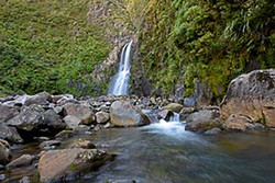 Bells Falls & The Stony River Track