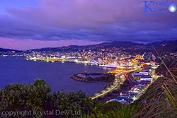 Wellington At Dawn