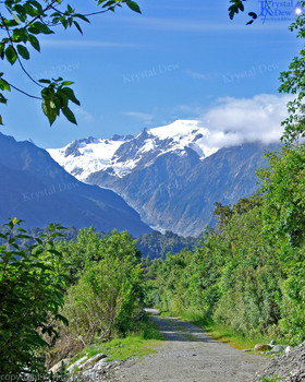 Frans Josef Glacier & Southern Alps From Canavans Knob