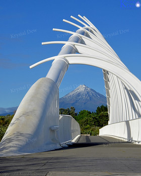 Taranaki From Te Rewa Rewa Bridge