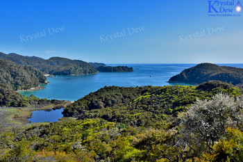 Torrent Bay, Abel Tasman