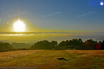 Sunrise Over Wellington from Mt Kau Kau