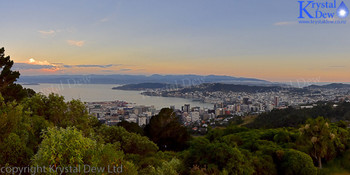 Wellington from Stellin Memorial Park