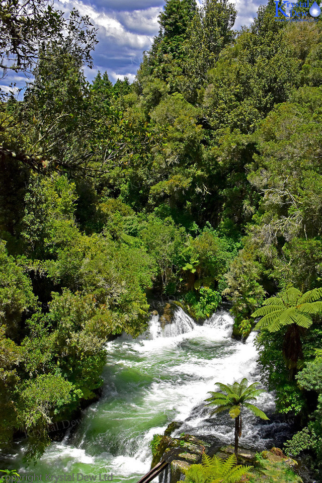 Okere Falls, Kaituna River