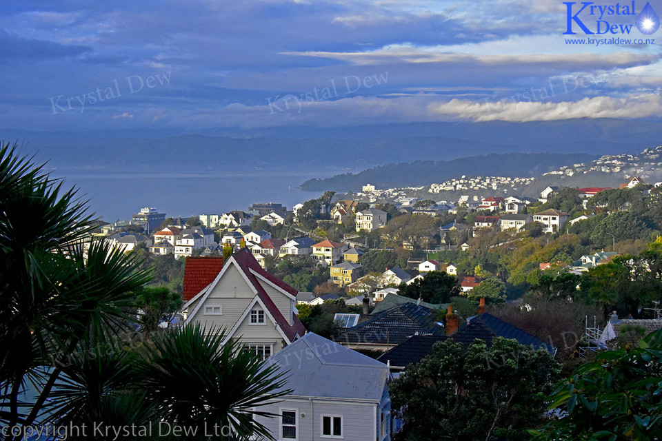 Wellington City From Kelburn