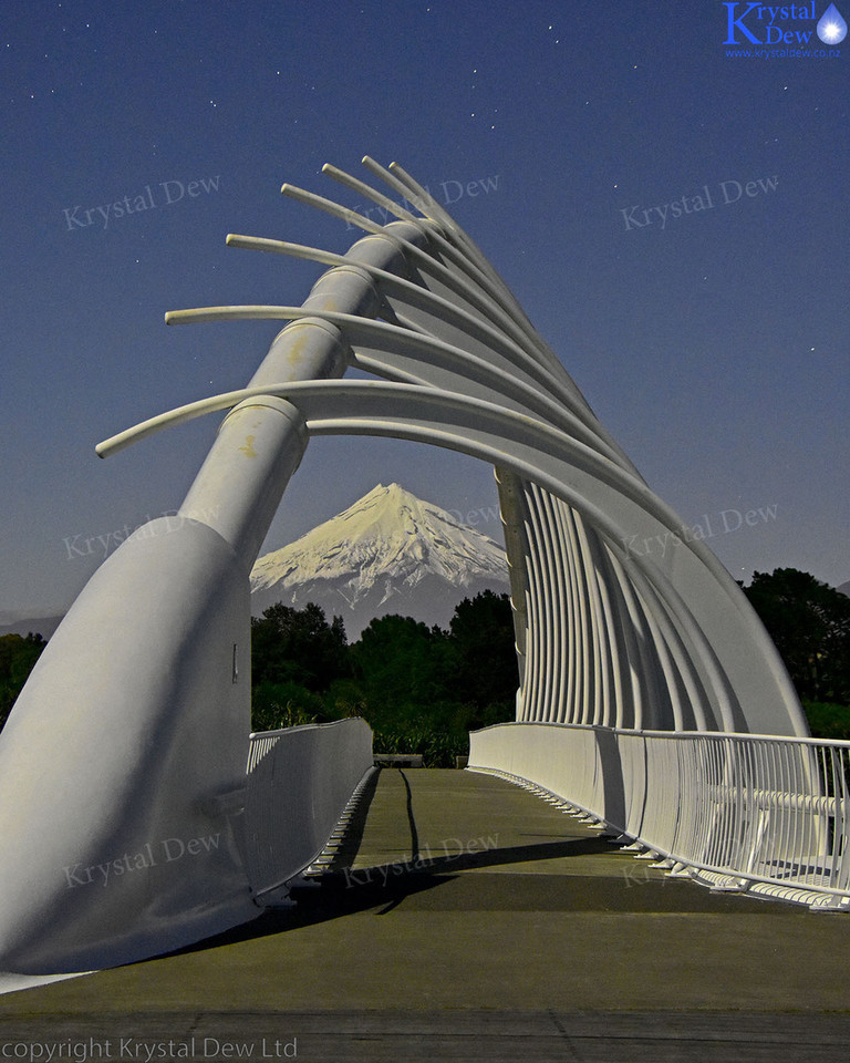 Taranaki & Te Rewa Rewa Bridge