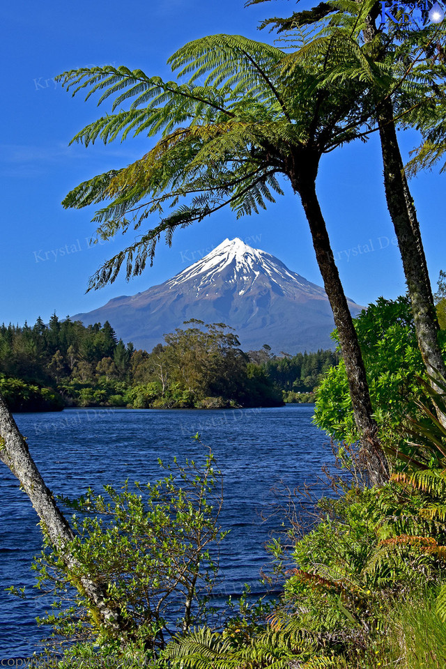 Taranaki From Lake Mangamahoe