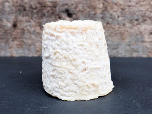 Chabichou du Poitou AOC (French Pasteurized Goat's Milk Cheese) Chabichou du Poitou AOC (French Pasteurized Goat's Milk Cheese)