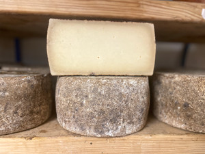 Kamiku Curado (Raw Sheep's Milk Cheese)