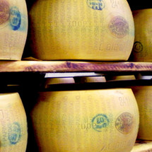 Raw, Thermized, or Pasteurized Milk for Cheesemaking Raw, Thermized, or Pasteurized Milk for Cheesemaking