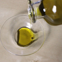 Fragile Oil: The Decimated Olive Harvest of 2014 Fragile Oil: The Decimated Olive Harvest of 2014