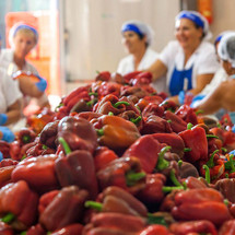 I Contadini: Exceptional Preserved Vegetables and Spreads from Puglia I Contadini: Exceptional Preserved Vegetables and Spreads from Puglia