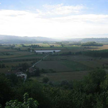 Jura Wines, Comté, and the Definition of Success Jura Wines, Comté, and the Definition of Success