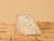 Bleu des Basques (French Sheep's Milk Blue Cheese)