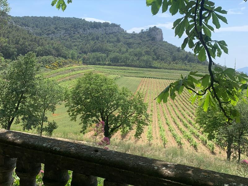 An Importer's Reflections: Provence