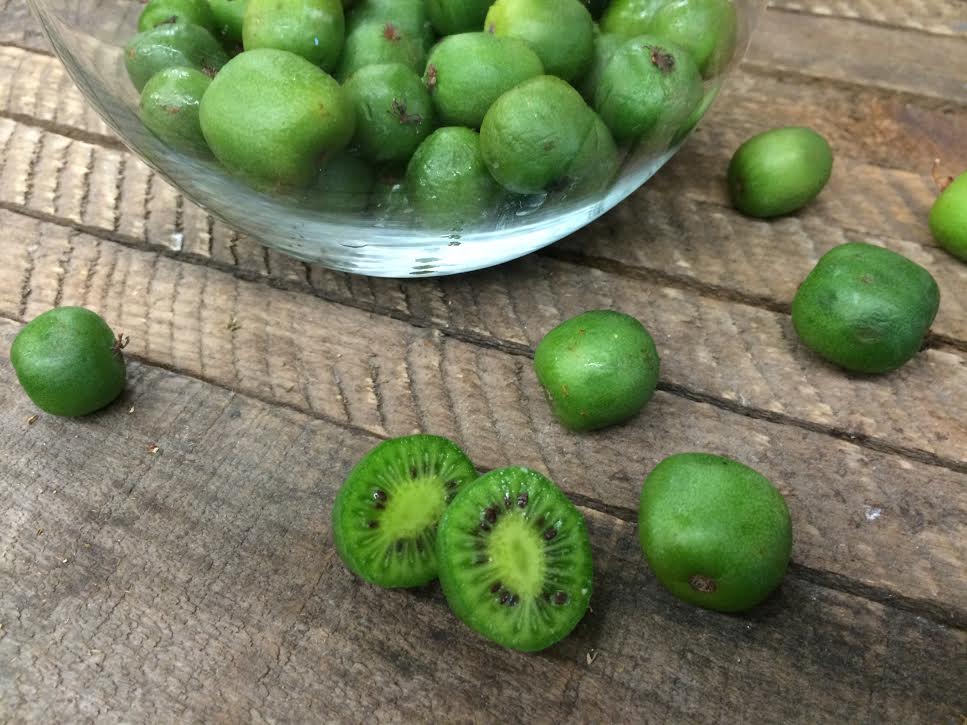 kiwi berries