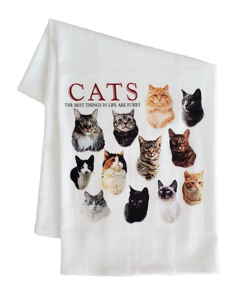 Cats Galore Flour Sack Towel, Single Cats Galore Flour Sack Towel, Single