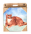 Cat Coaster, Orange Tabby