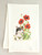 New! Cat with Poppy Blossoms Flour Sack Towel