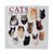 Cats Galore Flour Sack Towel, Single
