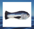 NEW! Fish & Nips Catnip Toy, Tuna design