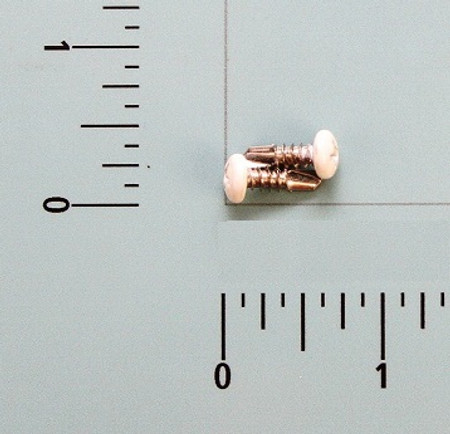 Satin Nickel Expander Screw